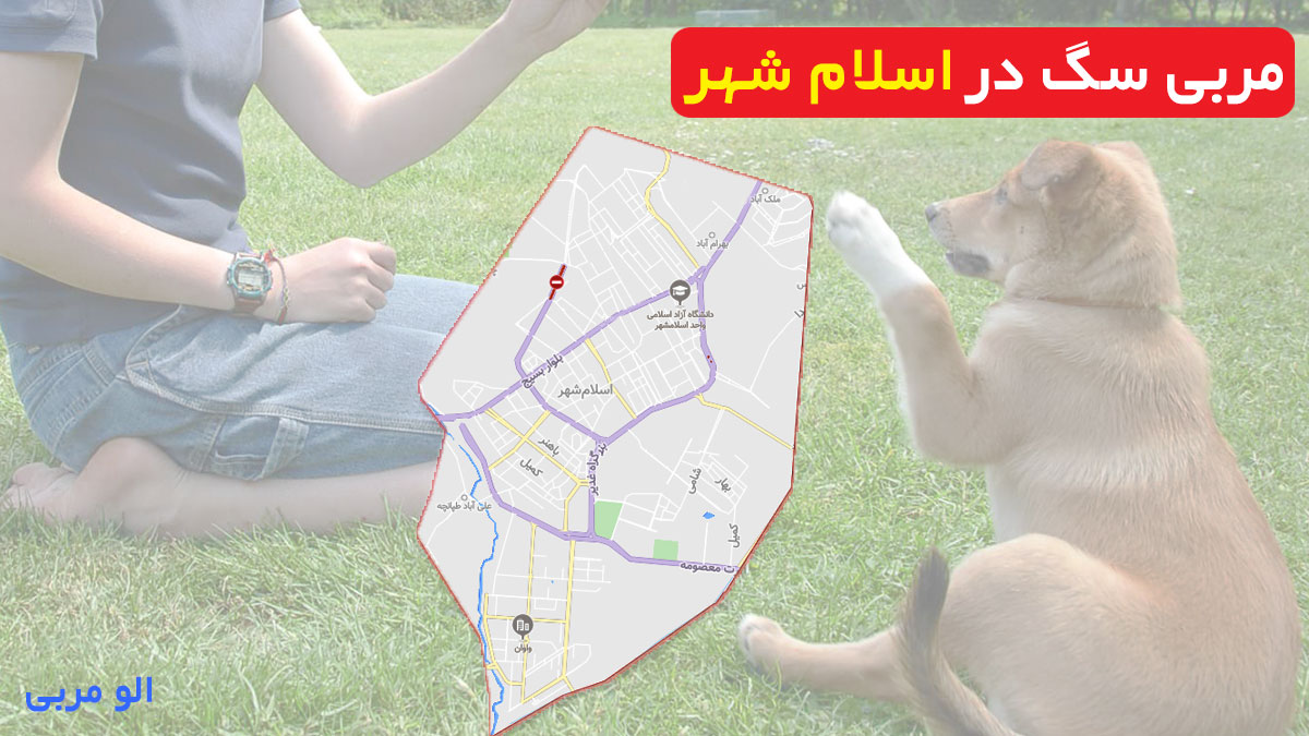 مربی سگ در اسلام شهر