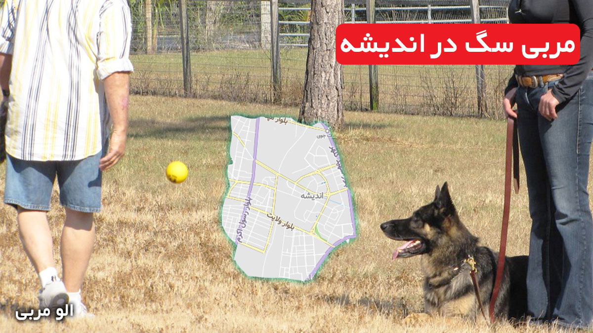 مربی سگ در اندیشه
