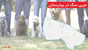 مربی سگ در بهارستان