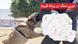 مربی سگ در رباط کریم
