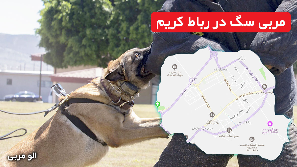 مربی سگ در رباط کریم