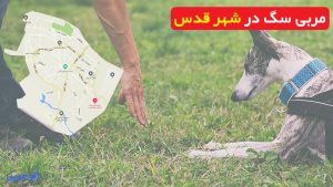 مربی سگ در شهر قدس