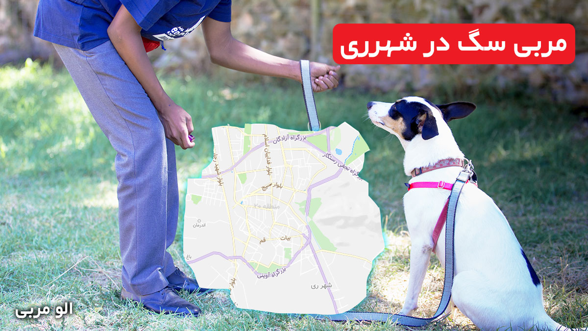 مربی سگ در شهرری