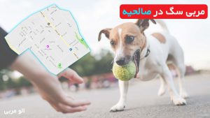 مربی سگ در صالحیه