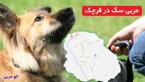 مربی سگ در قرچک