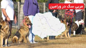 مربی سگ در ورامین
