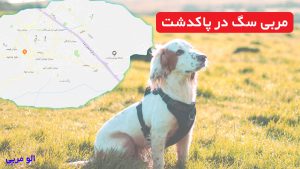 مربی سگ در پاکدشت