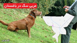مربی سگ در باغستان