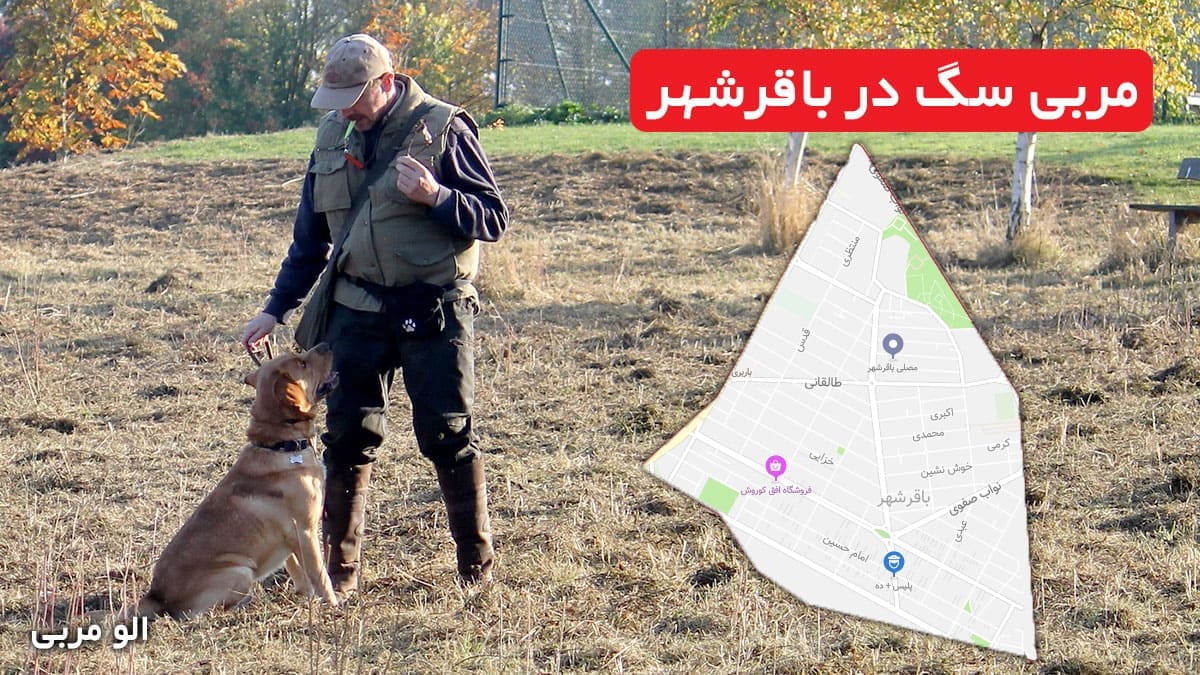 مربی سگ در باقرشهر