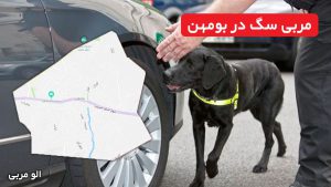 مربی سگ در بومهن