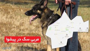 مربی سگ در پیشوا