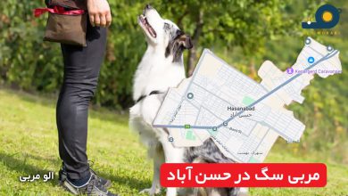 مربی سگ در حسن آباد