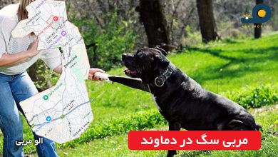 مربی سگ در دماوند