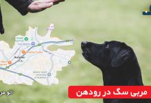 مربی سگ در رودهن