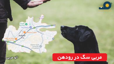 مربی سگ در رودهن