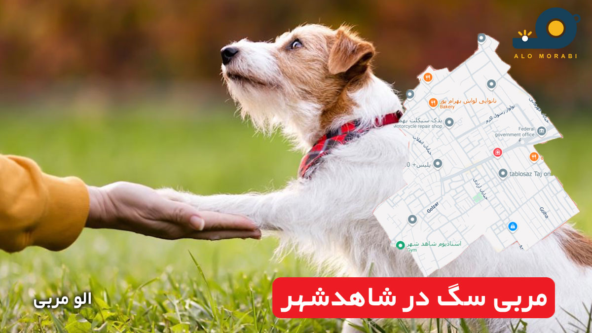 مربی سگ در شاهدشهر