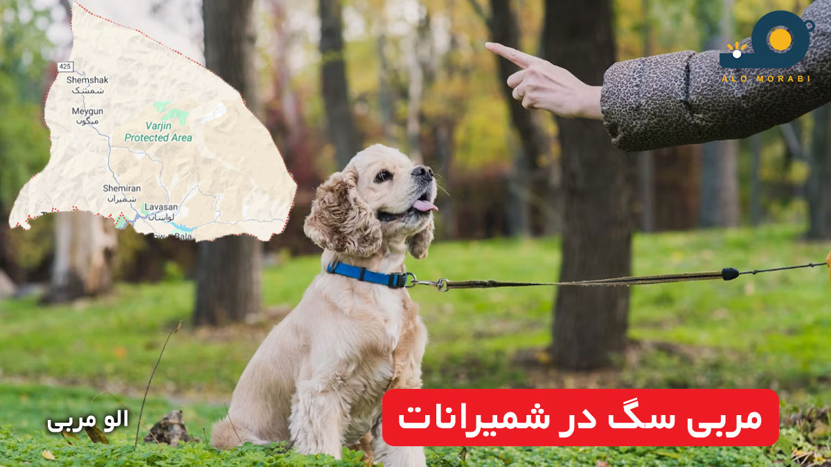 مربی سگ در شمیرانات