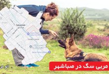 مربی سگ در صباشهر