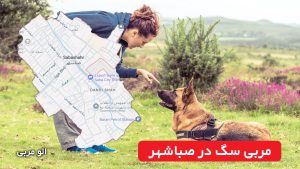 مربی سگ در صباشهر