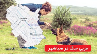 مربی سگ در صباشهر