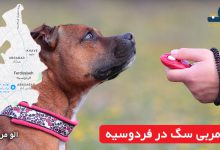 مربی سگ در فردوسیه