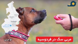 مربی سگ در فردوسیه