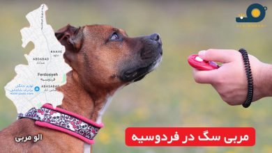 مربی سگ در فردوسیه