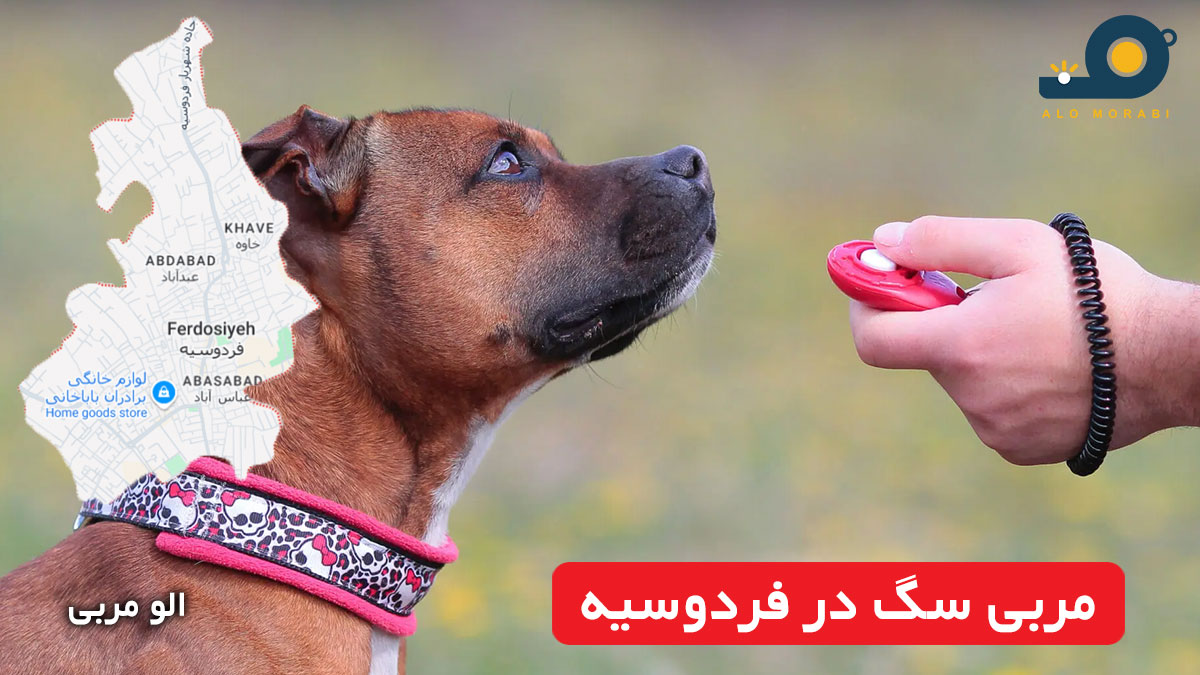 مربی سگ در فردوسیه