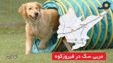 مربی سگ در فیروزکوه