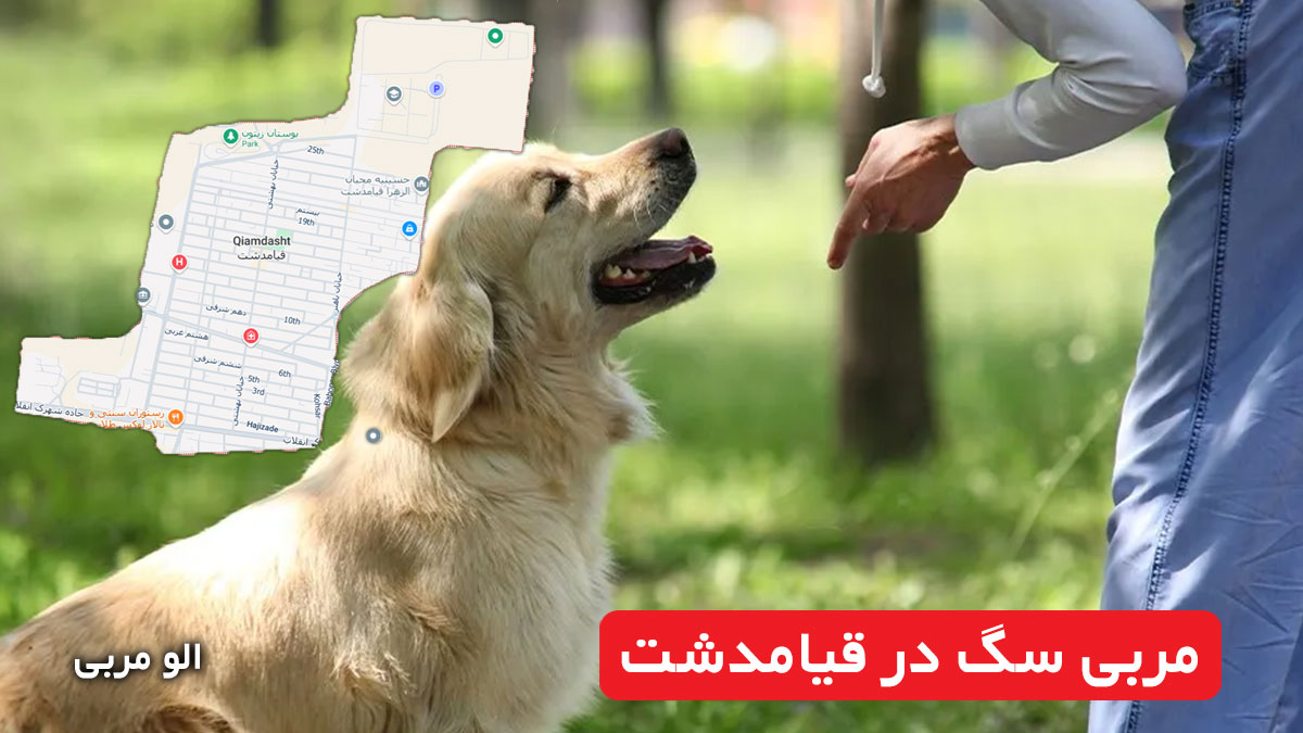مربی سگ در قیامدشت