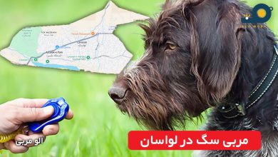 مربی سگ در لواسان