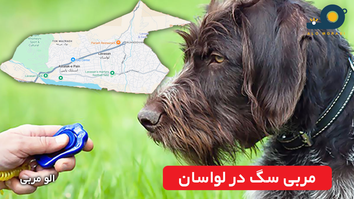 مربی سگ در لواسان