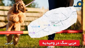 مربی سگ در وحیدیه