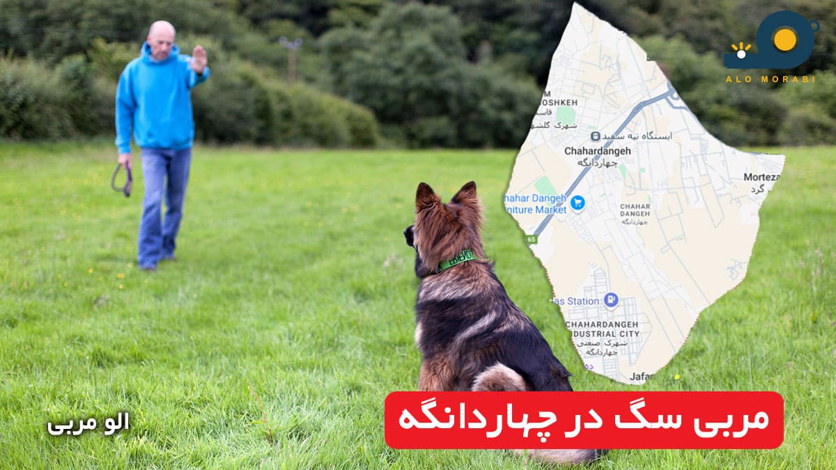 مربی سگ در چهاردانگه