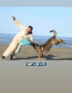 آرین سلطانی