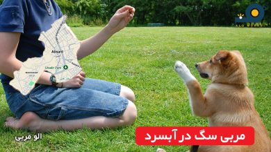 مربی سگ در آبسرد