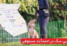 مربی سگ در احمدآباد مستوفی