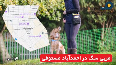 مربی سگ در احمدآباد مستوفی