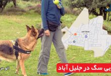مربی سگ در جلیل‌ آباد