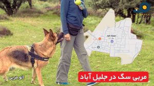 مربی سگ در جلیل‌ آباد