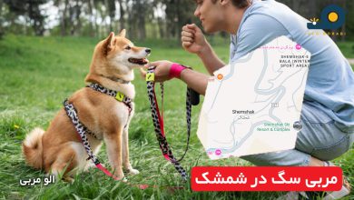 مربی سگ در شمشک
