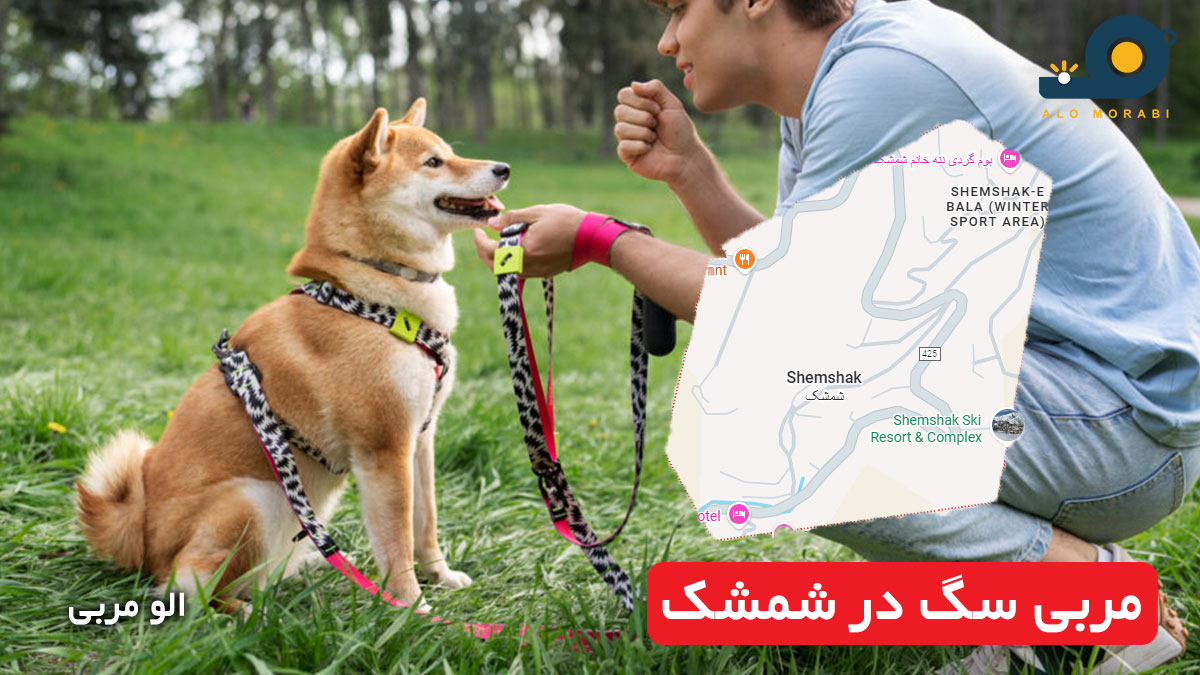 مربی سگ در شمشک
