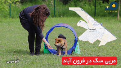 مربی سگ در فرون آباد