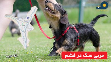 مربی سگ در فشم