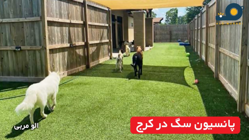 پانسیون سگ در کرج