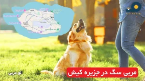 مربی سگ در جزیره کیش