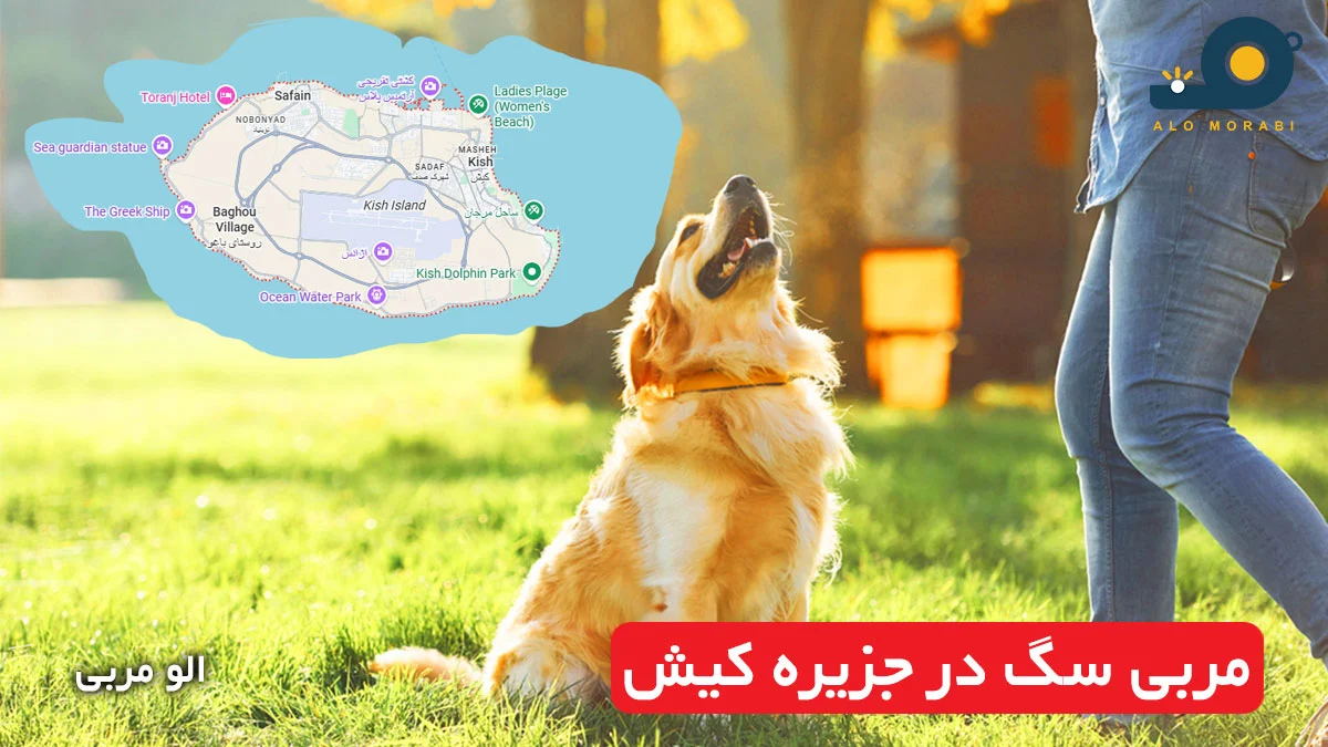 مربی سگ در جزیره کیش
