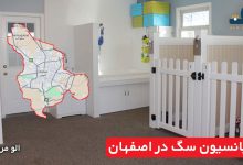 پانسیون سگ در اصفهان