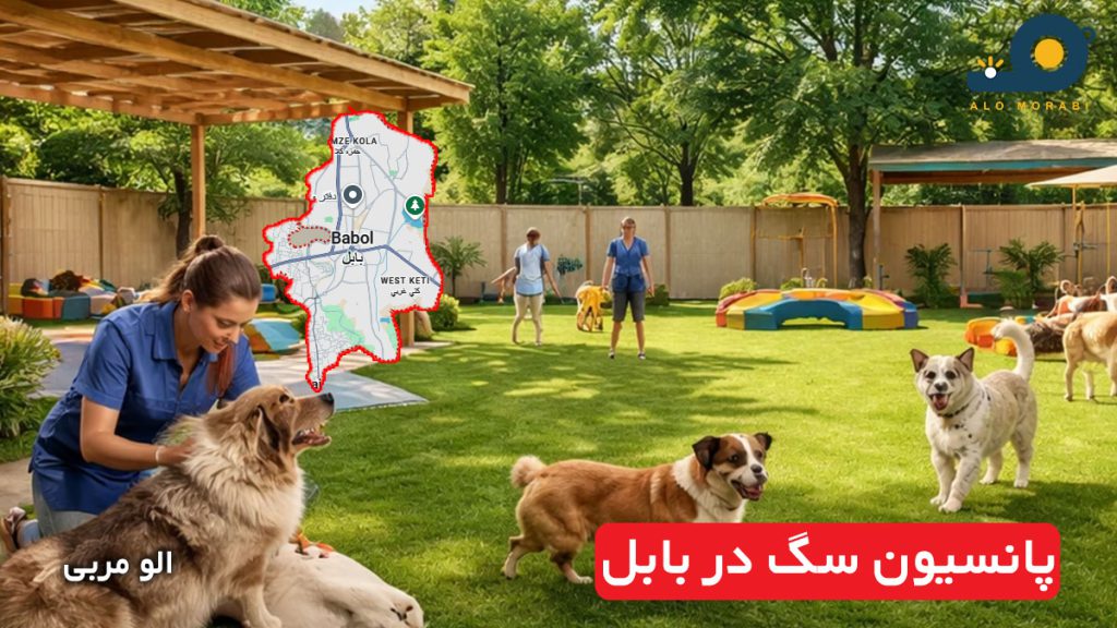 پانسیون سگ در بابل
