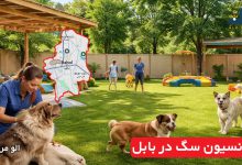 پانسیون سگ در بابل